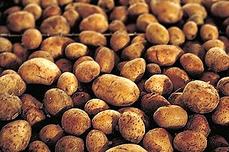 Biologische aardappels